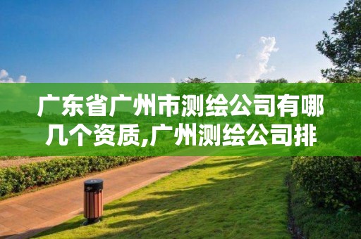 广东省广州市测绘公司有哪几个资质,广州测绘公司排名名单。