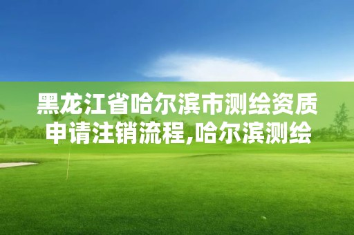 黑龙江省哈尔滨市测绘资质申请注销流程,哈尔滨测绘局位置