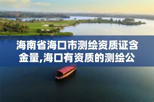 海南省海口市测绘资质证含金量,海口有资质的测绘公司