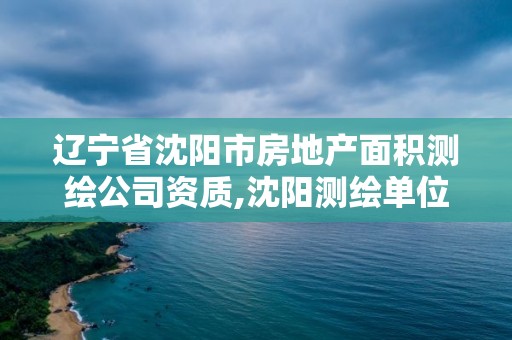 辽宁省沈阳市房地产面积测绘公司资质,沈阳测绘单位。