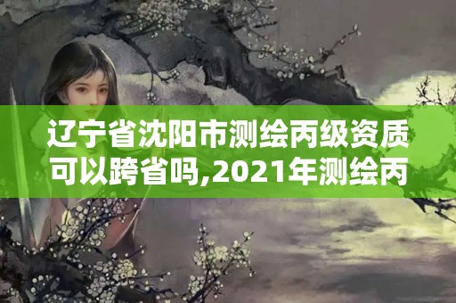 辽宁省沈阳市测绘丙级资质可以跨省吗,2021年测绘丙级资质申报条件