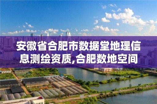 安徽省合肥市数据堂地理信息测绘资质,合肥数地空间信息。