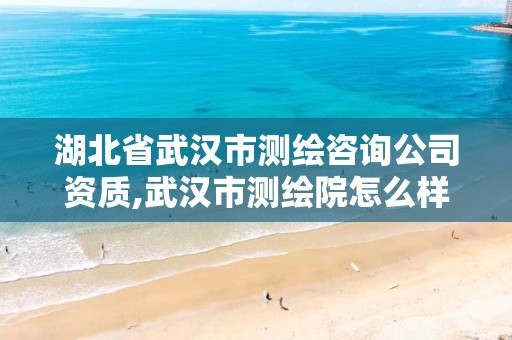 湖北省武汉市测绘咨询公司资质,武汉市测绘院怎么样