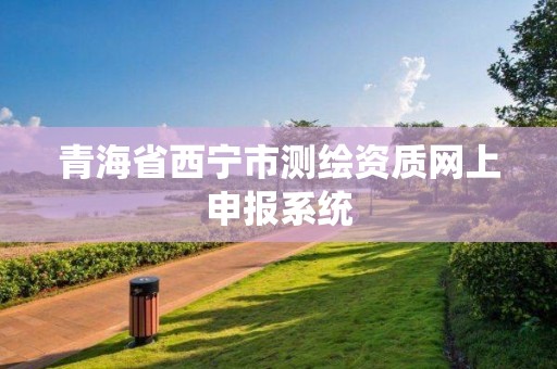 青海省西宁市测绘资质网上申报系统