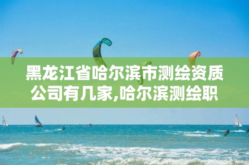 黑龙江省哈尔滨市测绘资质公司有几家,哈尔滨测绘职工中等专业学校。