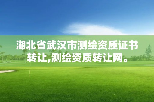 湖北省武汉市测绘资质证书转让,测绘资质转让网。