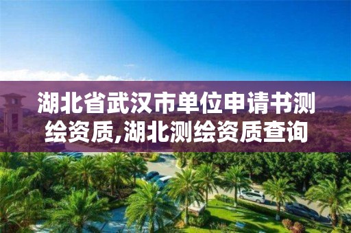 湖北省武汉市单位申请书测绘资质,湖北测绘资质查询