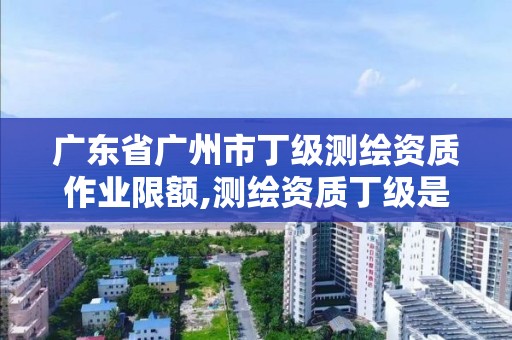 广东省广州市丁级测绘资质作业限额,测绘资质丁级是什么意思