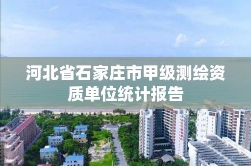 河北省石家庄市甲级测绘资质单位统计报告