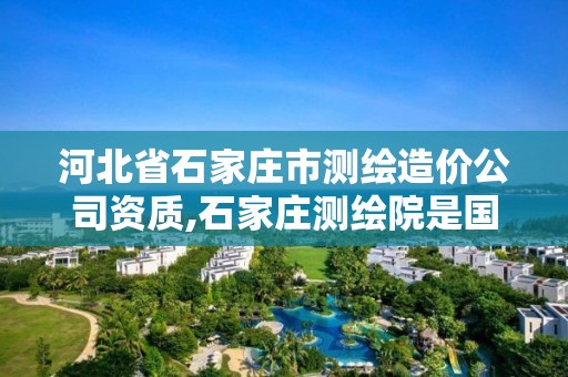 河北省石家庄市测绘造价公司资质,石家庄测绘院是国企吗