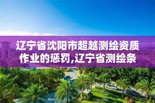 辽宁省沈阳市超越测绘资质作业的惩罚,辽宁省测绘条例。