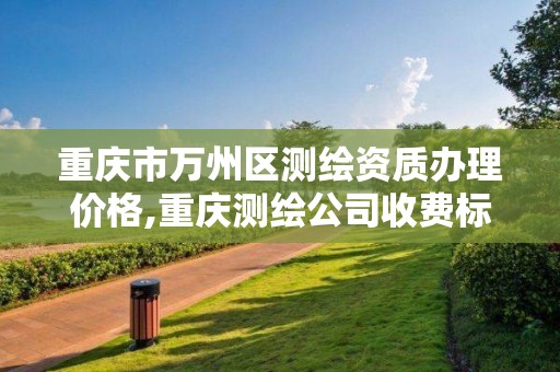 重庆市万州区测绘资质办理价格,重庆测绘公司收费标准