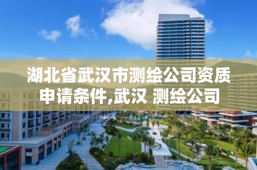 湖北省武汉市测绘公司资质申请条件,武汉 测绘公司