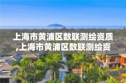 上海市黄浦区数联测绘资质,上海市黄浦区数联测绘资质公司