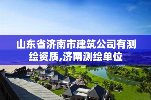 山东省济南市建筑公司有测绘资质,济南测绘单位