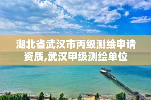 湖北省武汉市丙级测绘申请资质,武汉甲级测绘单位