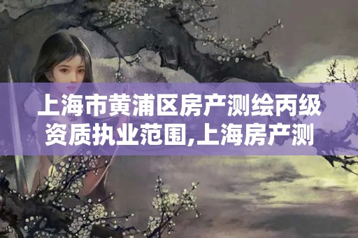 上海市黄浦区房产测绘丙级资质执业范围,上海房产测绘中心