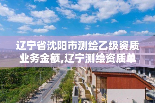 辽宁省沈阳市测绘乙级资质业务金额,辽宁测绘资质单位