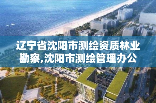 辽宁省沈阳市测绘资质林业勘察,沈阳市测绘管理办公室