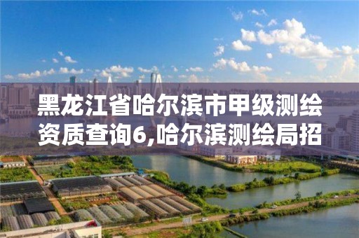 黑龙江省哈尔滨市甲级测绘资质查询6,哈尔滨测绘局招聘信息