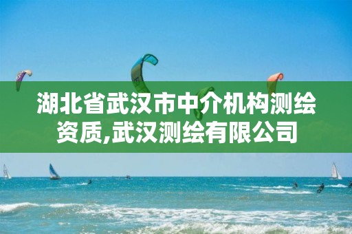 湖北省武汉市中介机构测绘资质,武汉测绘有限公司