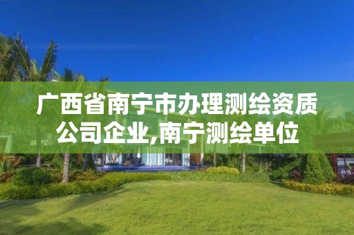 广西省南宁市办理测绘资质公司企业,南宁测绘单位