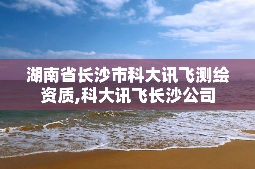 湖南省长沙市科大讯飞测绘资质,科大讯飞长沙公司