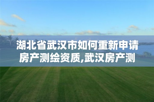 湖北省武汉市如何重新申请房产测绘资质,武汉房产测绘中心主要做什么。