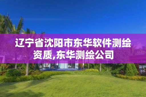 辽宁省沈阳市东华软件测绘资质,东华测绘公司