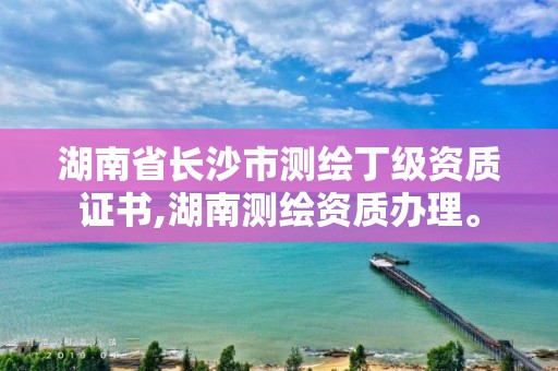 湖南省长沙市测绘丁级资质证书,湖南测绘资质办理。