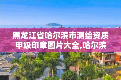 黑龙江省哈尔滨市测绘资质甲级印章图片大全,哈尔滨测绘局怎么样。