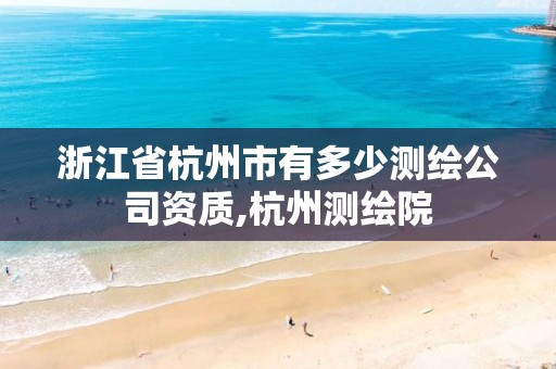 浙江省杭州市有多少测绘公司资质,杭州测绘院