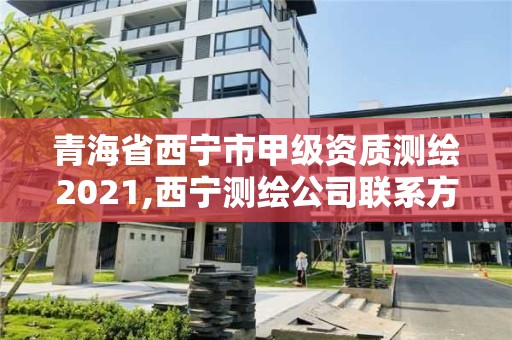 青海省西宁市甲级资质测绘2021,西宁测绘公司联系方式