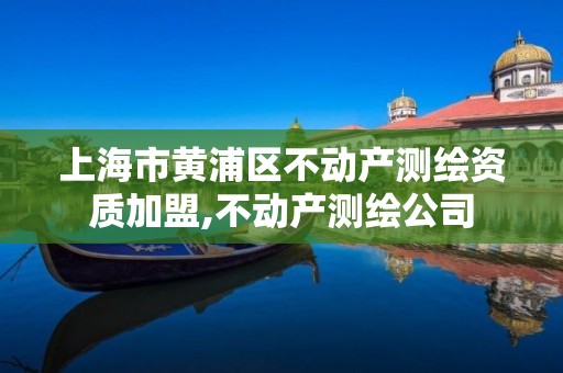 上海市黄浦区不动产测绘资质加盟,不动产测绘公司