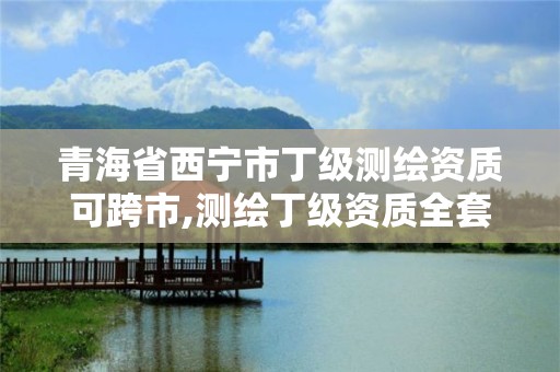 青海省西宁市丁级测绘资质可跨市,测绘丁级资质全套申请文件