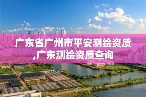 广东省广州市平安测绘资质,广东测绘资质查询