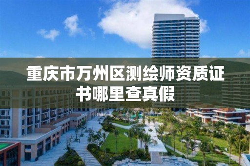 重庆市万州区测绘师资质证书哪里查真假