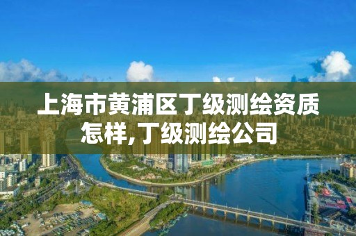 上海市黄浦区丁级测绘资质怎样,丁级测绘公司