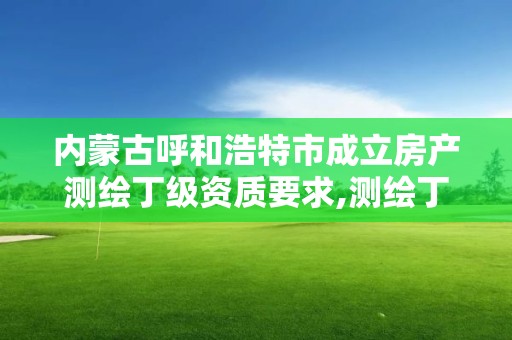 内蒙古呼和浩特市成立房产测绘丁级资质要求,测绘丁级资质条件。