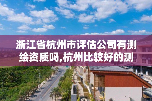 浙江省杭州市评估公司有测绘资质吗,杭州比较好的测绘公司