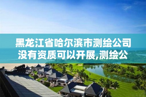 黑龙江省哈尔滨市测绘公司没有资质可以开展,测绘公司不办资质可以吗。