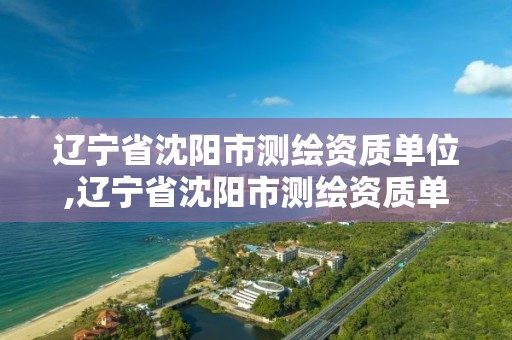 辽宁省沈阳市测绘资质单位,辽宁省沈阳市测绘资质单位有哪些