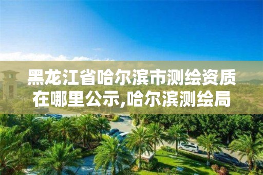 黑龙江省哈尔滨市测绘资质在哪里公示,哈尔滨测绘局是干什么的