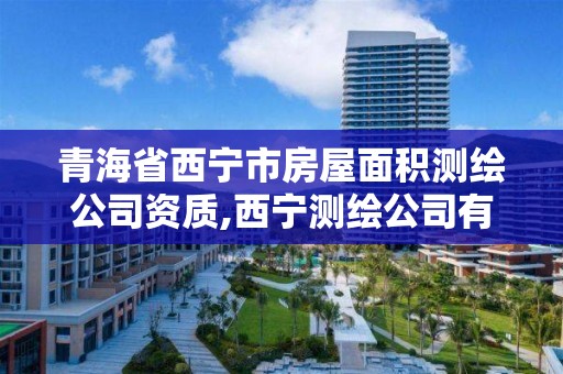 青海省西宁市房屋面积测绘公司资质,西宁测绘公司有哪些。