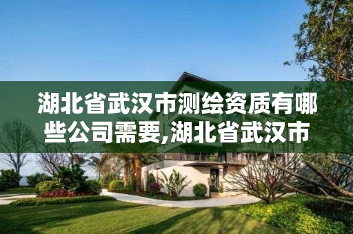 湖北省武汉市测绘资质有哪些公司需要,湖北省武汉市测绘资质有哪些公司需要招聘