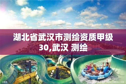 湖北省武汉市测绘资质甲级30,武汉 测绘