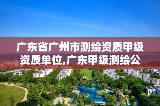 广东省广州市测绘资质甲级资质单位,广东甲级测绘公司