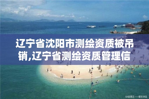 辽宁省沈阳市测绘资质被吊销,辽宁省测绘资质管理信息系统