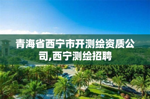 青海省西宁市开测绘资质公司,西宁测绘招聘