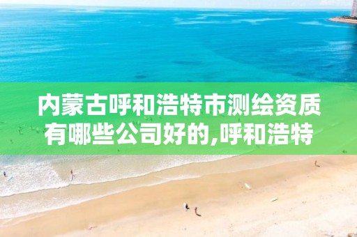 内蒙古呼和浩特市测绘资质有哪些公司好的,呼和浩特市测绘仪器店。